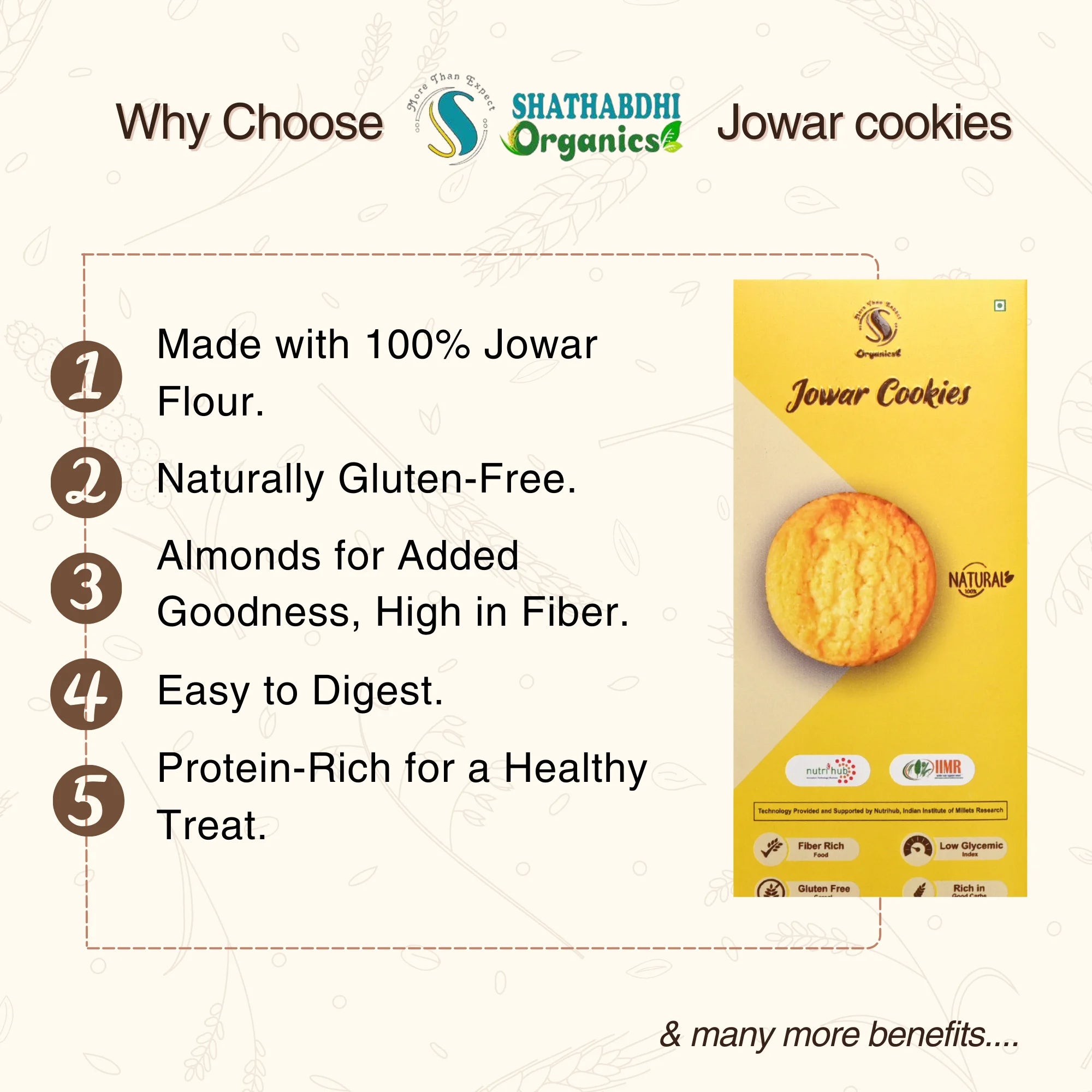 Jowar Cookies