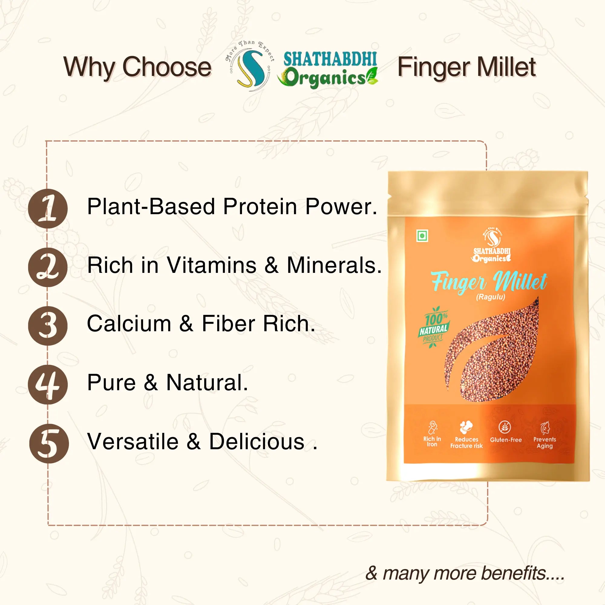 Finger Millet (Ragulu)