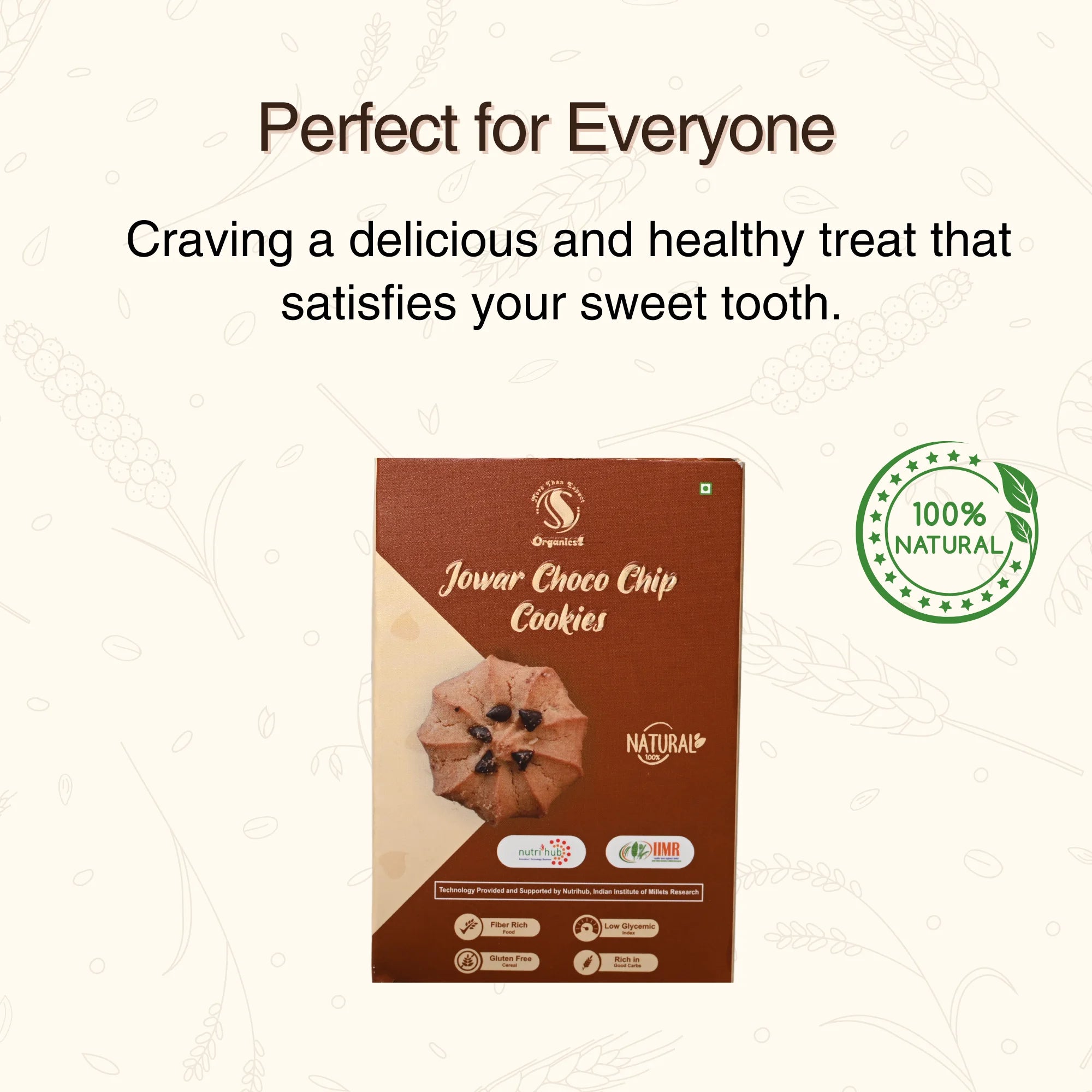 Jowar Choco Chip Cookies